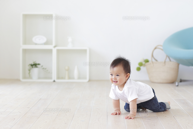 フローリングの床でハイハイをする赤ちゃん[11038016918]の写真