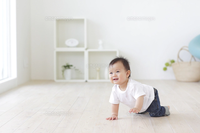 フローリングの床でハイハイをする赤ちゃん[11038016912]の写真
