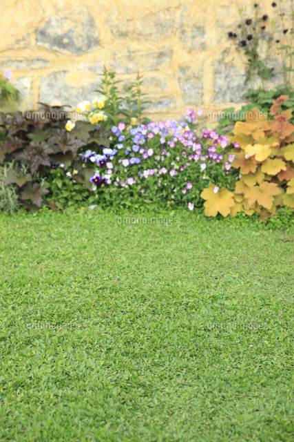 壁と花の咲く庭の背景素材 の写真素材 イラスト素材 アマナイメージズ 壁と花の咲く庭の背景素材 の写真素材 イラスト素材 アマナイメージズ