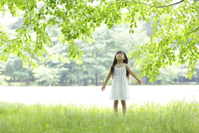 新緑の中で深呼吸をする白いワンピースの女の子 の写真素材 イラスト素材 アマナイメージズ