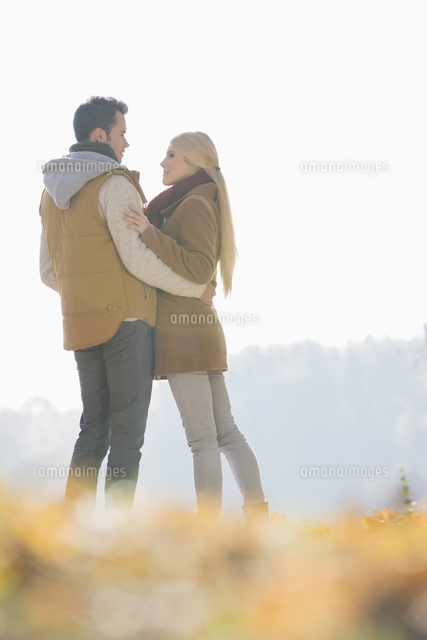 Rear view of couple holding hands in park during autumn[11044028713]の写真 ...