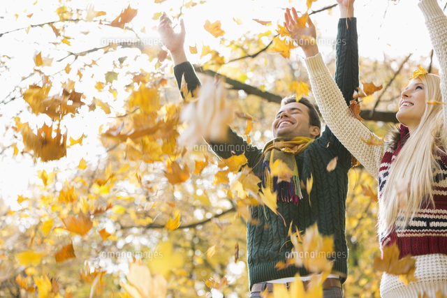 Rear view of couple holding hands in park during autumn[11044028713]の写真 ...