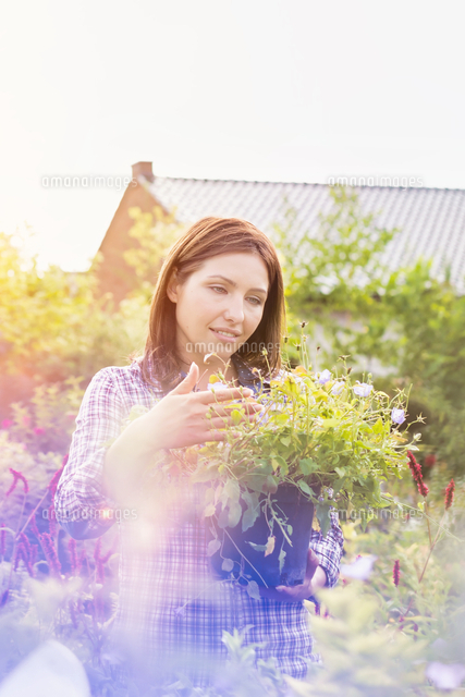 Portrait Of Beautiful Gardener Carrying Flowers In Pot At Garden Shop の写真素材 イラスト素材 アマナイメージズ