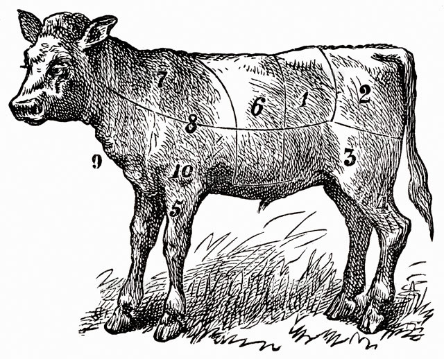 子牛 イラスト の写真素材 イラスト素材 アマナイメージズ