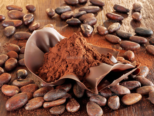 Cocoa Powder In Chocolate Shell Cocoa Beans の写真素材 イラスト素材 アマナイメージズ