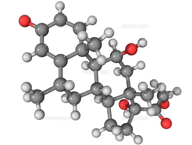 メチルプレドニソロナノヴァファーマのナトリウムコサイナトの雄牛
