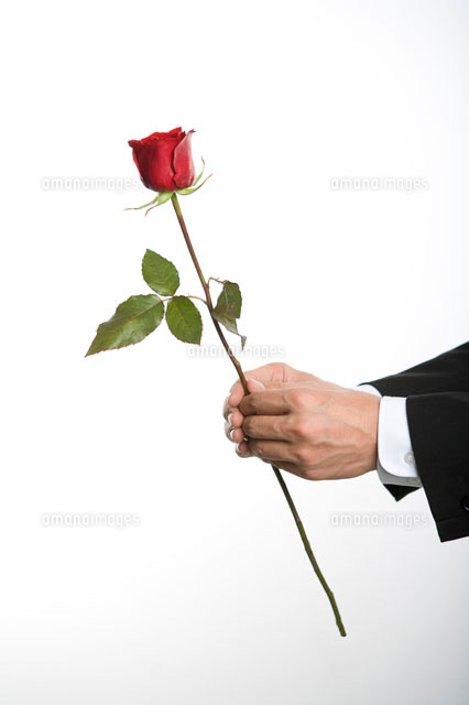 バラの花を渡す男性の手 の写真素材 イラスト素材 アマナイメージズ