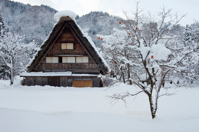 雪の積もった白川郷の家 の写真素材 イラスト素材 アマナイメージズ 雪の積もった白川郷の家 の写真素材 イラスト素材 アマナイメージズ