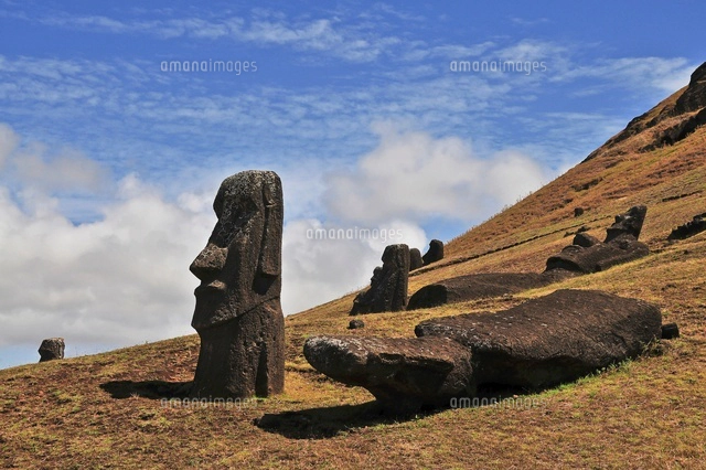 イースター島のモアイ像[11069009249]の写真・イラスト素材｜アマナ