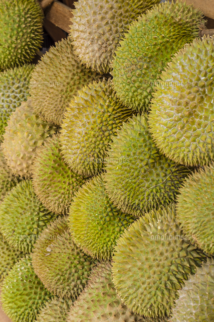 大量のドリアン の写真素材 イラスト素材 アマナイメージズ