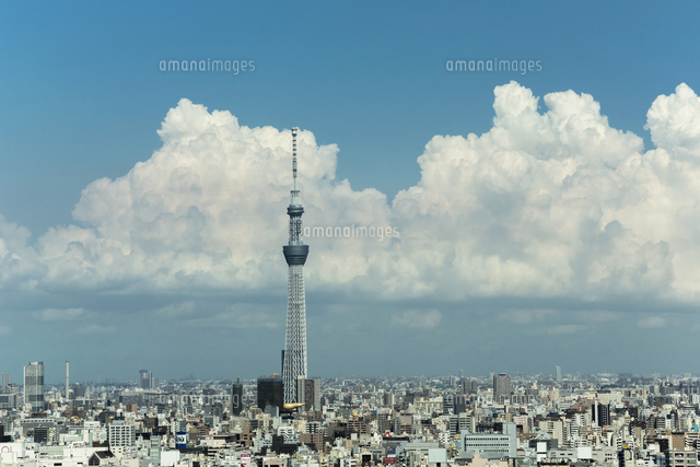 東京スカイツリーと夏の雲 の写真素材 イラスト素材 アマナイメージズ 東京スカイツリーと夏の雲 の写真素材 イラスト素材 アマナイメージズ