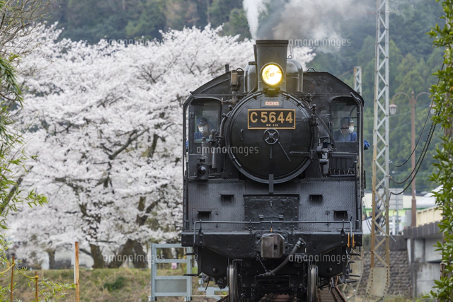 『さくらカラー蒸気機関車の旅 / 何気なし 1 旅情と蒸気機関車』