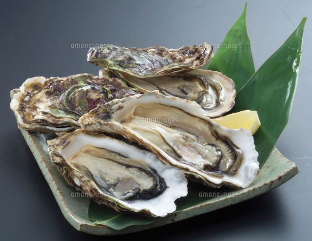 生牡蠣 の写真素材 イラスト素材 アマナイメージズ