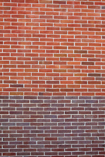 レンガの壁 の写真素材 イラスト素材 アマナイメージズ