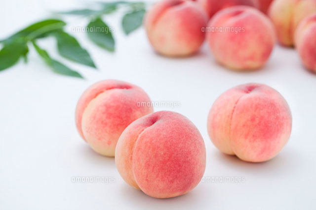 白桃の集合 の写真素材 イラスト素材 アマナイメージズ 白桃の集合 の写真素材 イラスト素材 アマナイメージズ