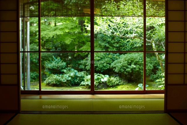 和室から見た庭 の写真素材 イラスト素材 アマナイメージズ