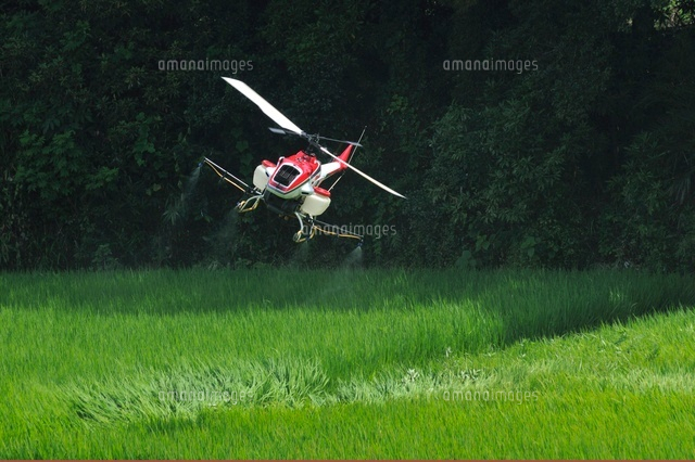 ラジコンヘリの農薬空中散布 の写真素材 イラスト素材 アマナイメージズ