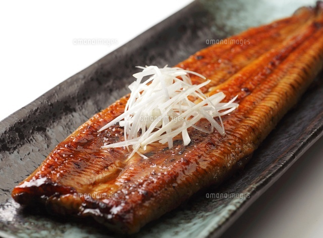 ウナギの蒲焼 の写真素材 イラスト素材 アマナイメージズ