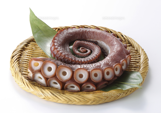タコの足 の写真素材 イラスト素材 アマナイメージズ