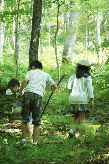 森の中を歩く3人の子供達 の写真素材 イラスト素材 アマナイメージズ 森の中を歩く3人の子供達 の写真素材 イラスト素材 アマナイメージズ