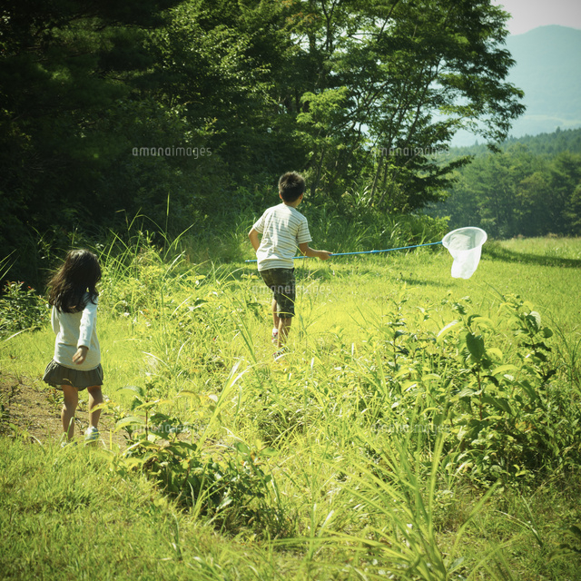 昆虫採集をする男の子と女の子 の写真素材 イラスト素材 アマナイメージズ
