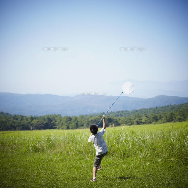 昆虫採集をする男の子 の写真素材 イラスト素材 アマナイメージズ