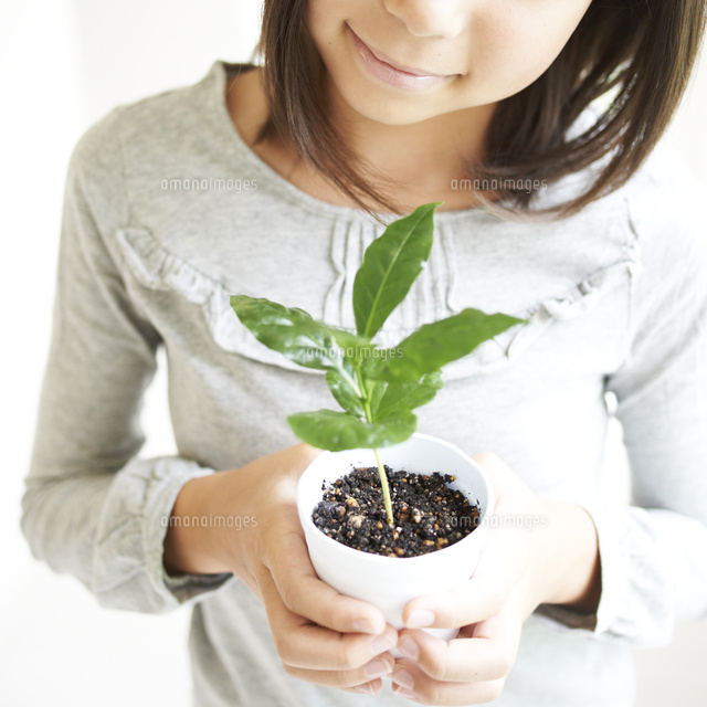 鉢植えを持つ女の子 の写真素材 イラスト素材 アマナイメージズ