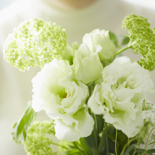 白い花 の写真素材 イラスト素材 アマナイメージズ