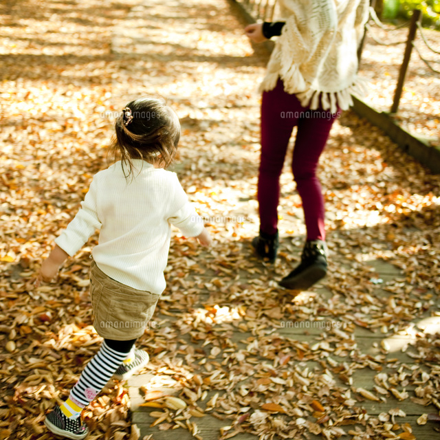 落ち葉の上を歩く女の子と母親の後ろ姿 の写真素材 イラスト素材 アマナイメージズ