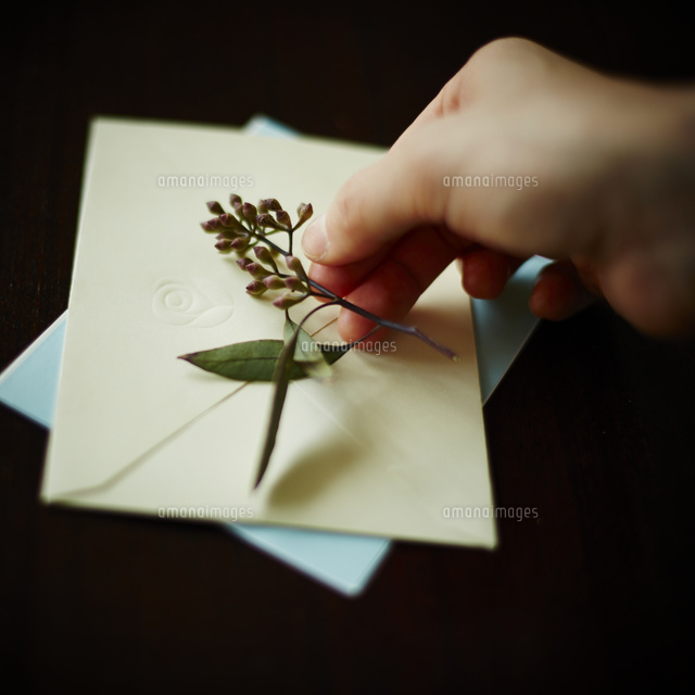 封筒に花を添える女性の手 の写真素材 イラスト素材 アマナイメージズ 封筒に花を添える女性の手 の写真素材 イラスト素材 アマナイメージズ