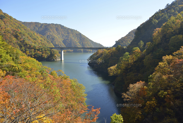 秋の長井ダム ながい百秋湖 山形県 の写真素材 イラスト素材 アマナイメージズ