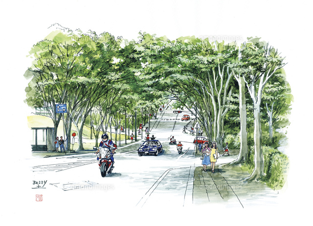 仙台城下町百景 東北大学工学部 中心通 の写真素材 イラスト素材 アマナイメージズ 仙台城下町百景 東北大学工学部 中心通 の写真素材 イラスト素材 アマナイメージズ