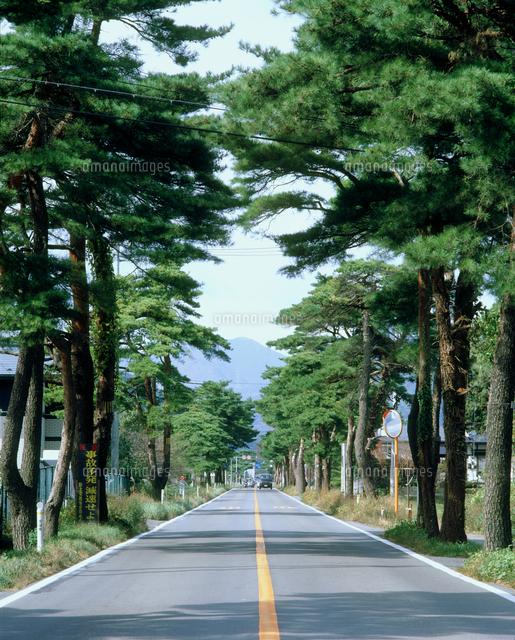 笹谷街道 の写真素材 イラスト素材 アマナイメージズ