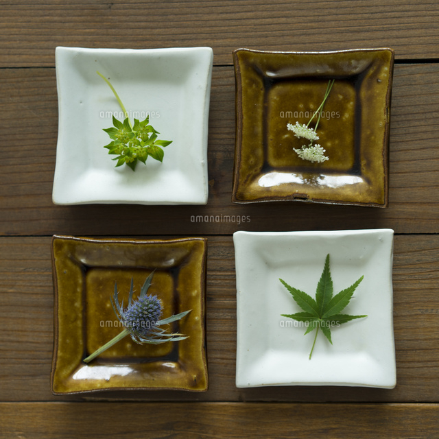 4枚の角皿の上にのった花や葉 の写真素材 イラスト素材 アマナイメージズ