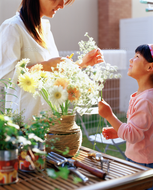 花瓶に花を生ける女の子と母親 の写真素材 イラスト素材 アマナイメージズ