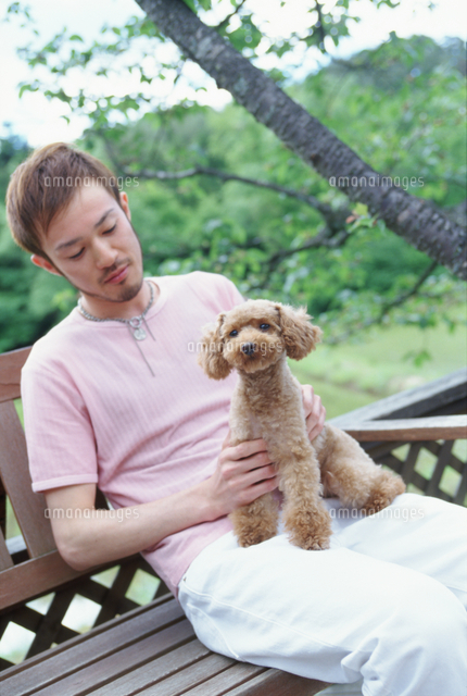 ベンチで犬 トイプードル を抱く男性 の写真素材 イラスト素材 アマナイメージズ