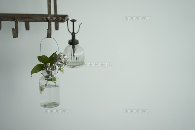 霧吹きと花 の写真素材 イラスト素材 アマナイメージズ