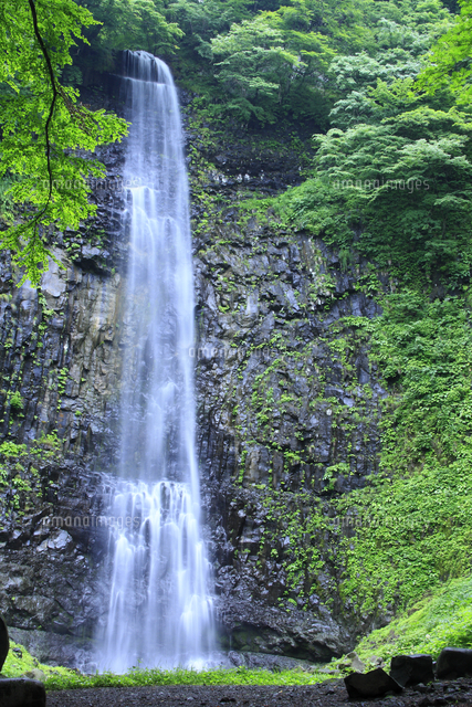 玉簾の滝 山形県 の写真素材 イラスト素材 アマナイメージズ