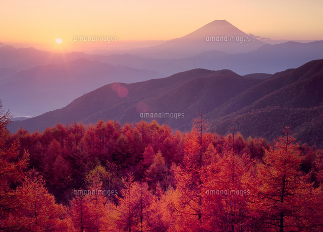 丸山林道からの紅葉と朝日の富士山 の写真素材 イラスト素材 アマナイメージズ