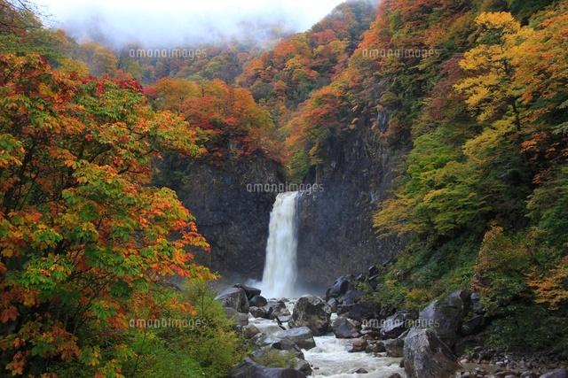 苗名滝と紅葉 の写真素材 イラスト素材 アマナイメージズ