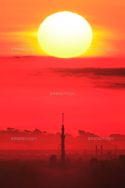 朝日が昇る東京スカイツリーと都心 遠望 の写真素材 イラスト素材 アマナイメージズ