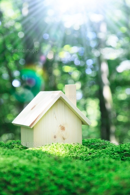 森の中に置かれた木製の家と光芒 の写真素材 イラスト素材 アマナイメージズ