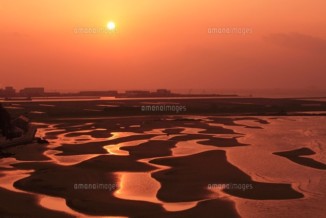 新舞子海岸の干潟と朝日 11076004450 の写真素材 イラスト素材 アマナイメージズ