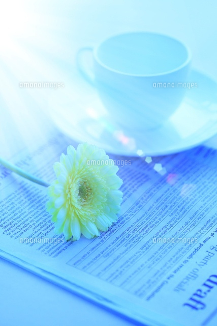 ガーベラとコーヒーカップ 新聞 光 の写真素材 イラスト素材 アマナイメージズ