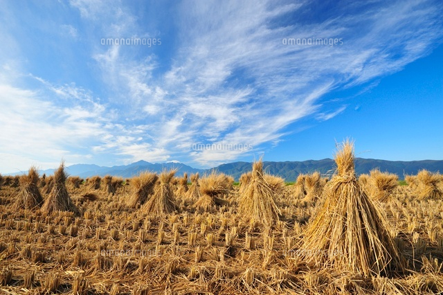 積み藁と南アルプス の写真素材 イラスト素材 アマナイメージズ