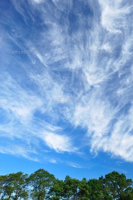 すじ雲 の写真素材 イラスト素材 アマナイメージズ