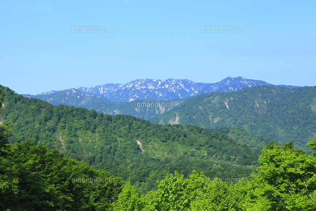 津軽峠より白神山地 白神岳 向白神岳 太夫峰 の写真素材 イラスト素材 アマナイメージズ
