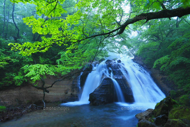男池湧水群 名水の滝 の写真素材 イラスト素材 アマナイメージズ