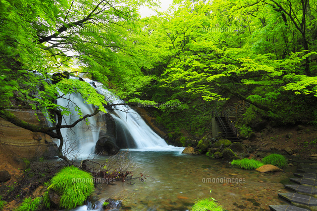 男池湧水群 名水の滝 の写真素材 イラスト素材 アマナイメージズ