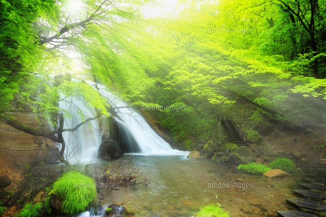 男池湧水群 名水の滝と光芒 の写真素材 イラスト素材 アマナイメージズ